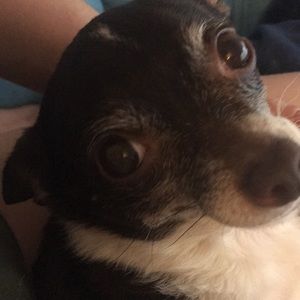 Meet your Posher, Alexalyn